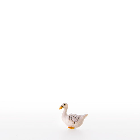 22310_CY3uqkE8e1uW6E