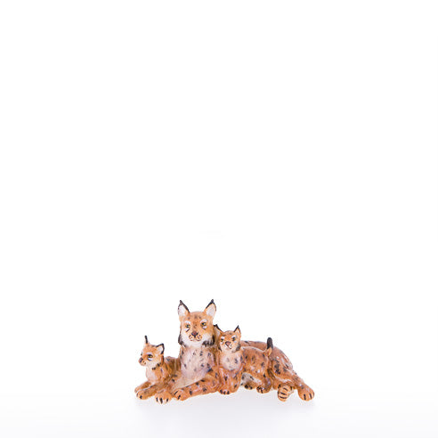 23050-B_C