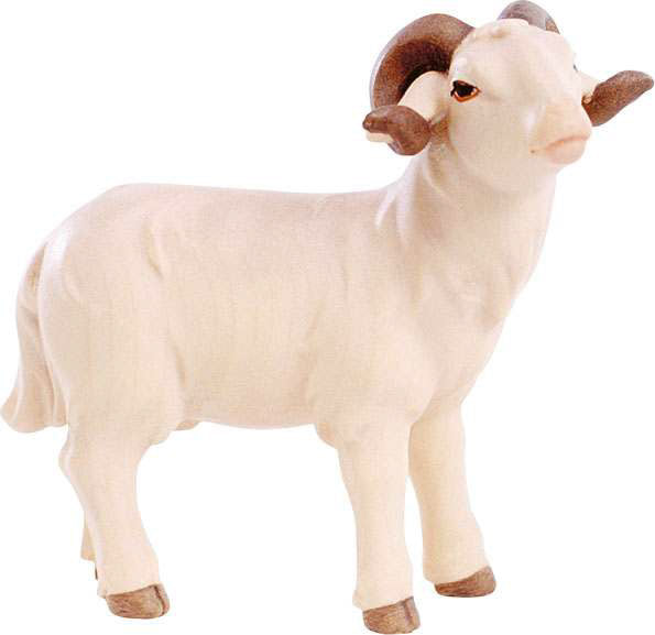 4554