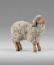 image-1KVfJy0j3YoZA8