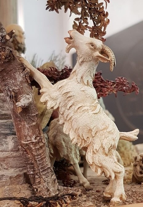 20190524_104431