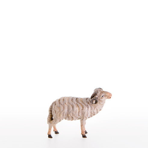 21177_CtG8jjo8zowfb4