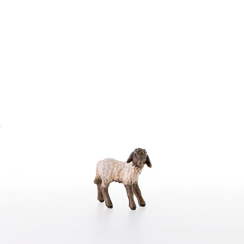 21287-AS_C
