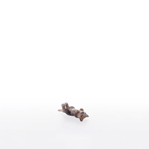 22104-A_C