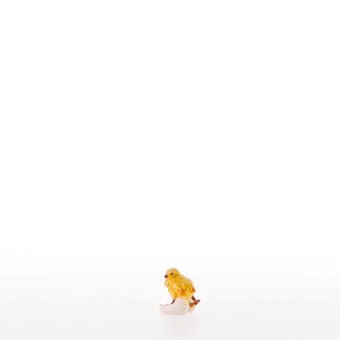 22407_CviGcP6LyuzTyZ
