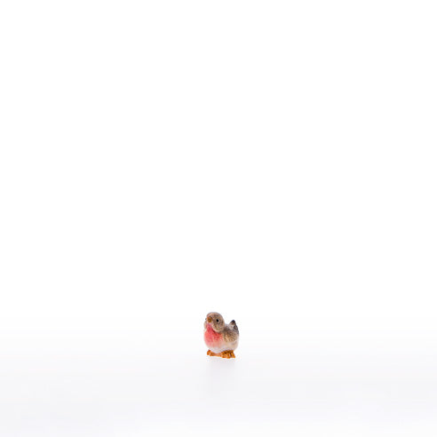 22470-A_C