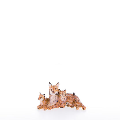 23050-B_C