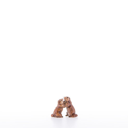 23053-B_C