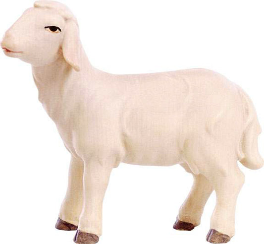 4555