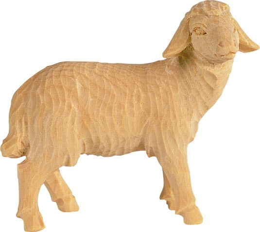 Schaf rechts schauend Nr. 4451 15 cm