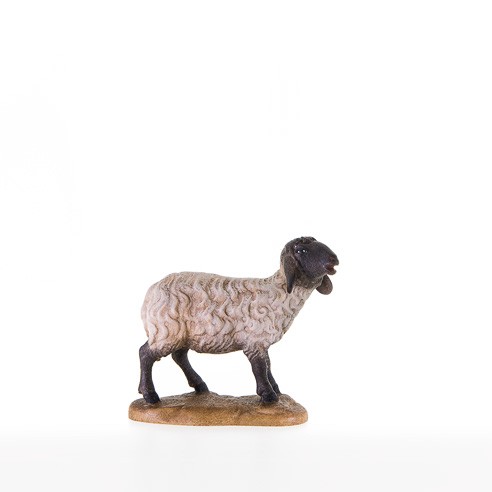 Schwarzkoepfiges Schaf stehend Nr. 21206-S