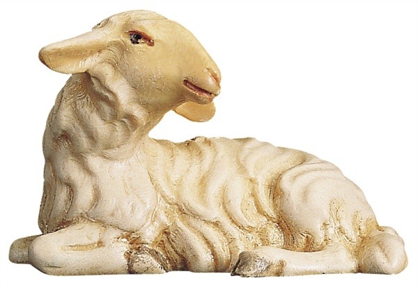 Schaf liegend, Kopf nach links