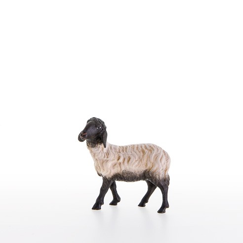 Schwarzkoepfiges Schaf stehend Nr. 21205-AS